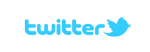 twitter_2015_logo_detail
